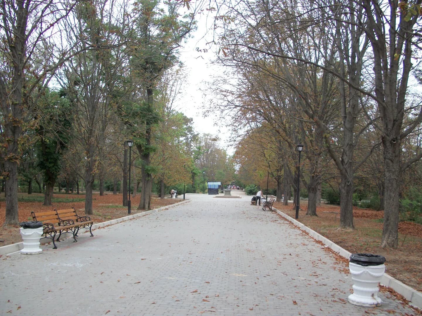 Зелень Сакского курортного парка